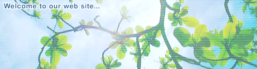 ���É��s�k��̎O�֎��Ȉ�@�͍ݑ�K�⎕�Ȑf�Ái���f�j�ɏd�_�������Đf�Â��s���Ă��܂��B