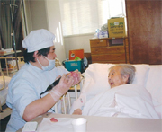 ���f�̗l�q